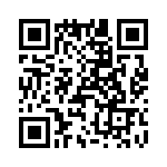 T38335-13-0 QRCode