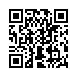 T38337-09-0 QRCode