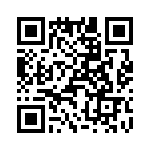 T38362-07-0 QRCode