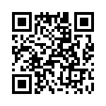 T38368-02-0 QRCode