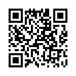 T38368-09-0 QRCode