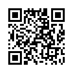 T38368-23-0 QRCode