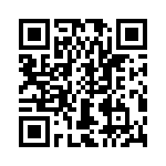 T38410-17-0 QRCode