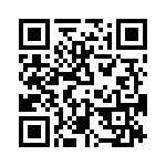 T38410-20-0 QRCode