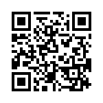 T38410-24-0 QRCode