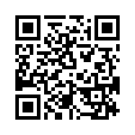 T38411-03-0 QRCode