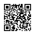 T38412-23-0 QRCode