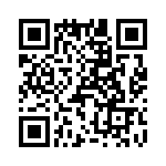 T38413-11-0 QRCode