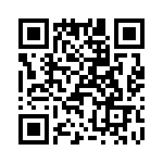 T38420-04-0 QRCode