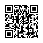 T38420-22-0 QRCode