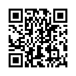 T38422-13-0 QRCode