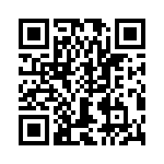 T38425-07-0 QRCode