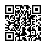 T38425-17-0 QRCode