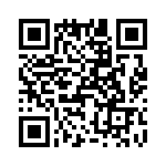 T38425-25-0 QRCode