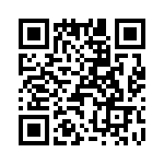 T38442-21-0 QRCode