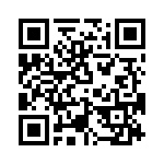 T38447-02-0 QRCode