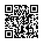 T38447-04-0 QRCode