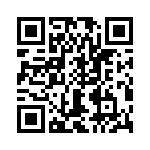 T38447-12-0 QRCode