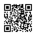 T38462-01-0 QRCode