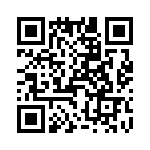 T38462-11-0 QRCode