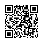 T38462-25-0 QRCode