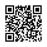 T38463-12-0 QRCode