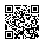 T38463-17-0 QRCode