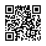 T38510-12-0 QRCode