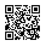 T38511-01-0 QRCode