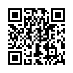 T38511-02-0 QRCode