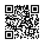 T38512-02-0 QRCode