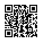 T38512-13-0 QRCode