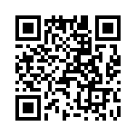 T38512-20-0 QRCode