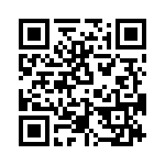 T38513-02-0 QRCode