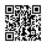 T38517-13-0 QRCode