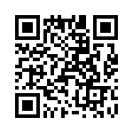 T38527-02-0 QRCode