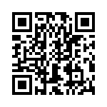 T38527-13-0 QRCode