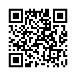 T38527-25-0 QRCode