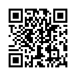 T38528-04-0 QRCode