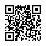 T38528-09-0 QRCode