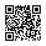 T38528-17-0 QRCode