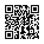 T38531-04-0 QRCode