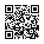 T38532-01-0 QRCode