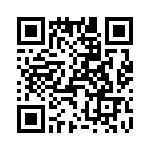 T38532-13-0 QRCode