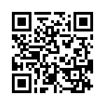 T38532-16-0 QRCode