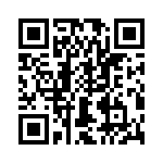 T38532-22-0 QRCode