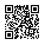 T38533-02-0 QRCode