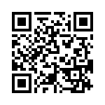 T38535-17-0 QRCode