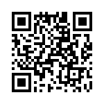 T38538-09-0 QRCode