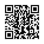 T38540-13-0 QRCode